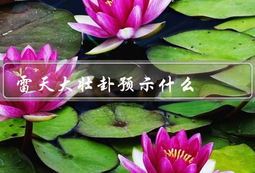 雷天大壮卦预示什么（雷天大壮卦／与行动／正确运用）