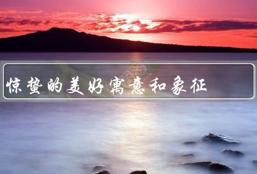 惊蛰的美好寓意和象征，之春、新生之象征、与行动
