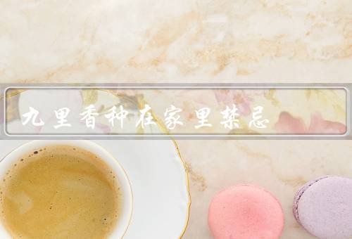 九里香种在家里禁忌，选购优质种子／提供适宜的生长环境