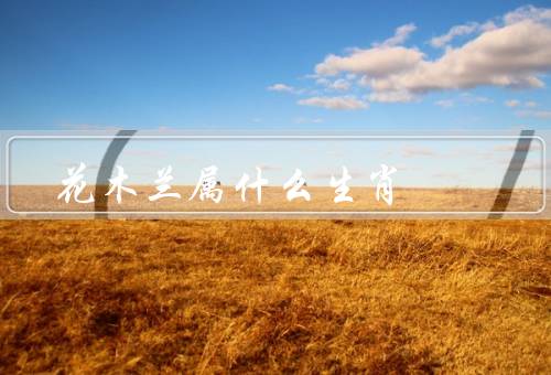 花木兰属什么生肖，生肖／故事／精神