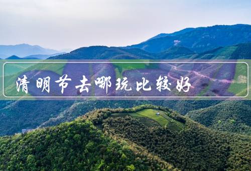 清明节去哪玩比较好，清明祭扫、赏花赏柳、登山郊游
