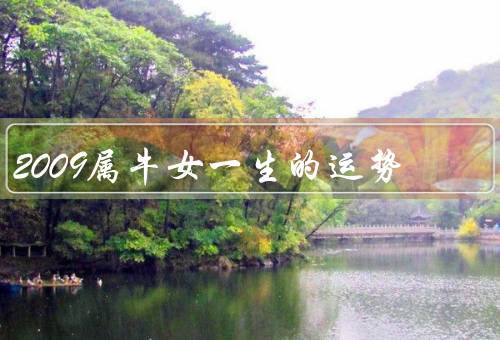 2009属牛女一生的运势，事业运势、财运、感情运势
