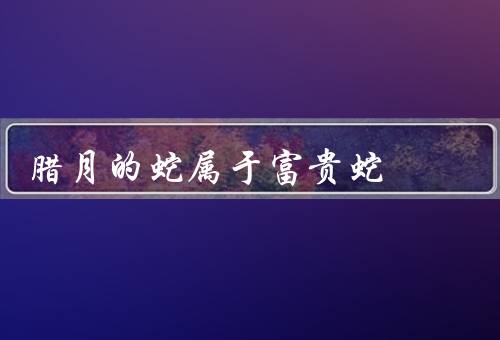 腊月的蛇属于富贵蛇，寓意、与相关习俗、象征意义