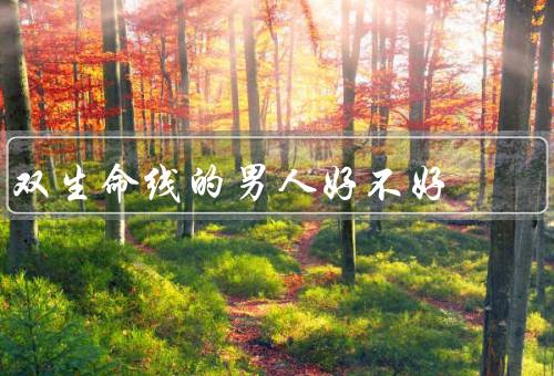 双生命线的男人好不好（性格方面、财富方面、健康方面）