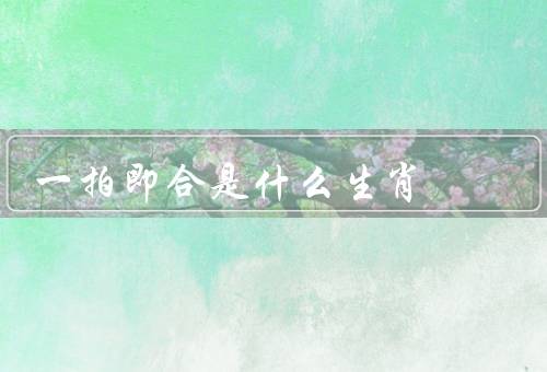 一拍即合是什么生肖，特征／代表／结语