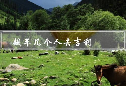 提车几个人去吉利，选购过程／提车仪式／开启新旅程