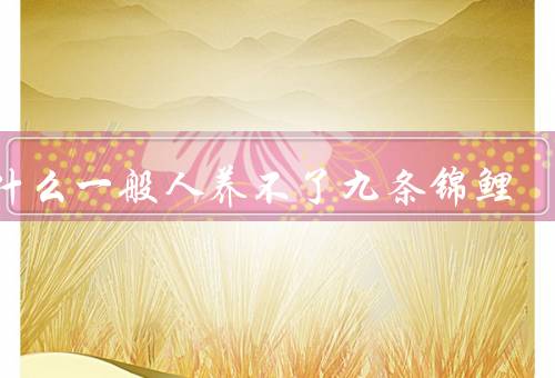 为什么一般人养不了九条锦鲤（锦鲤的品种繁多／养殖环境要求高）