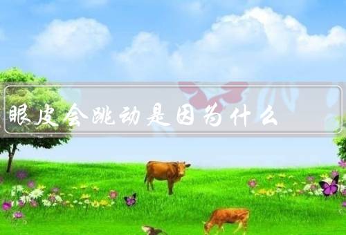 眼皮会跳动是因为什么，疲劳／压力和焦虑／缺乏营养
