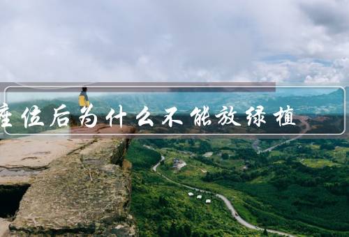 座位后为什么不能放绿植，空气流通不畅／影响人体舒适度