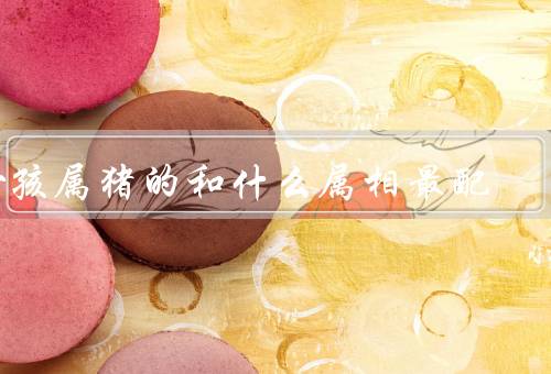 女孩属猪的和什么属相最配，属鼠／兔／羊