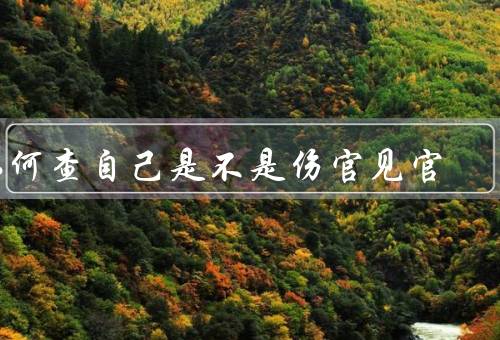 如何查自己是不是伤官见官，伤官见官的概念、查看自己的生辰八字