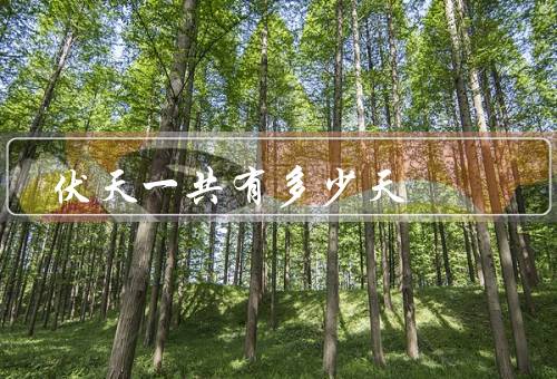 伏天一共有多少天（定义、历史、气候特点）