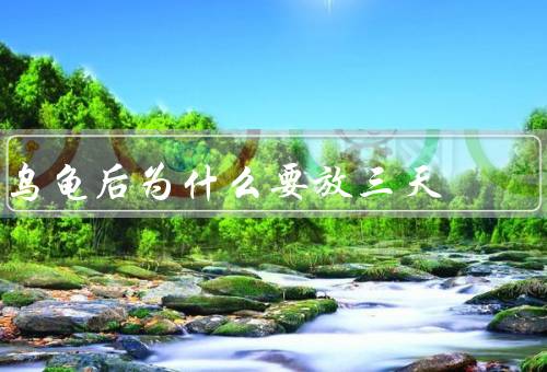 乌龟死后为什么要放三天（死后分泌的毒素、放置三天的原因）