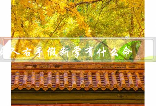 女人右手假断掌有什么命，假断掌的意义、命运的挑战
