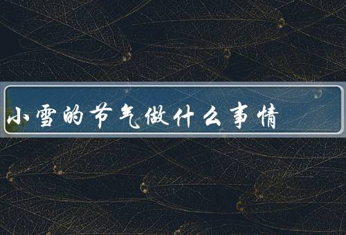 小雪的节气做什么事情（冬补／防寒保暖／冬季运动）