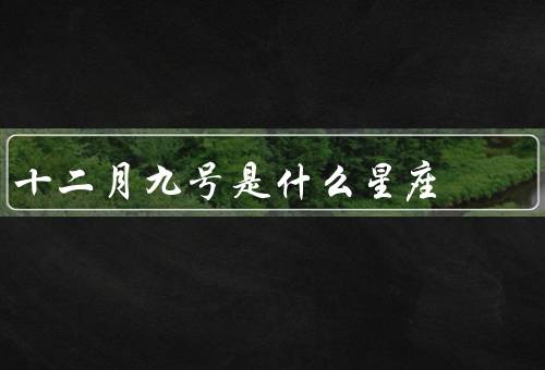 十二月九号是什么星座，性格特点／事业与财运／爱情与家庭