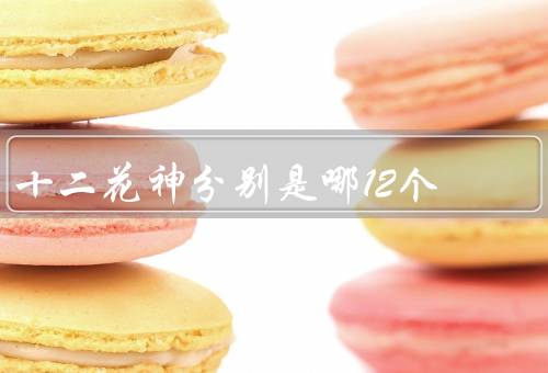 十二花神分别是哪12个（石竹女神、玫瑰女神、百合女神）