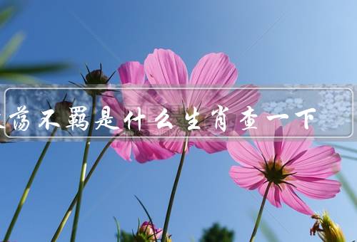 放荡不羁是什么生肖查一下，与生肖、性格特点、如何看待的人