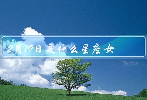 2月19日是什么星座女（特点／爱情观／职业选择）