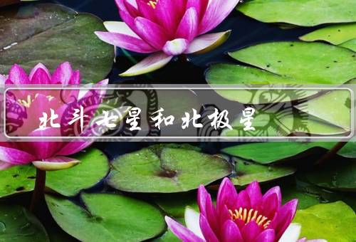 北斗七星和北极星，北极星／与北极星的关系