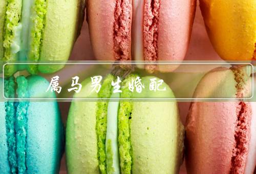 属马男生最佳婚配（坚定自信、独立自主、开朗活泼）