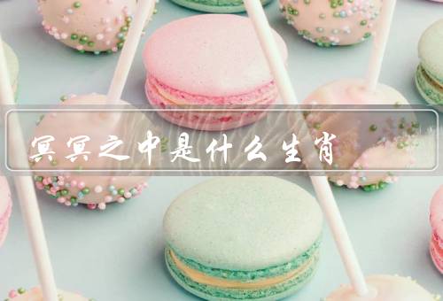 冥冥之中是什么生肖（冥冥之中的生肖）