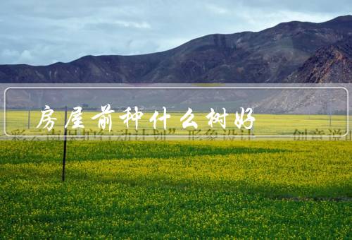 房屋前种什么树风水好，松树／榆树／桂花树