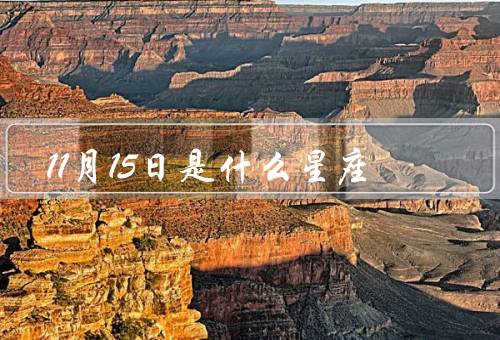 11月15日是什么星座（个性特点／事业与财运／爱情与婚姻）