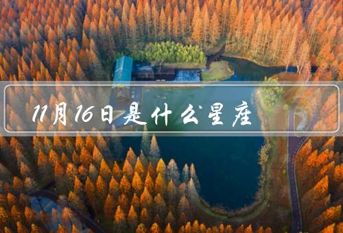 11月16日是什么星座，优点和缺点、与相配的星座