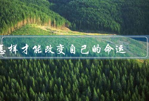 怎样才能改变自己的命运，树立正确的目标、持续学习和成长