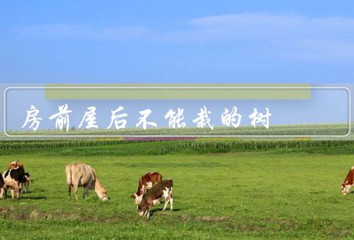 房前屋后不能栽的树（树种／避免种植大型乔木／栽培方式）