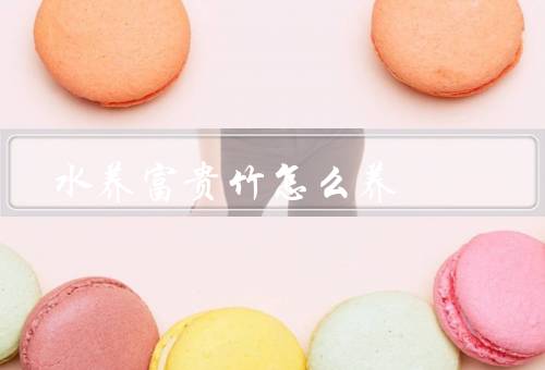 水养富贵竹怎么养，准备容器／选择水质／放置富贵竹