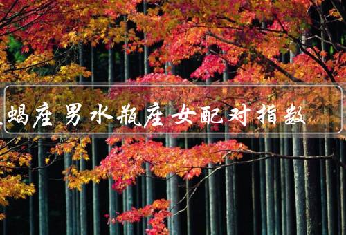天蝎座男水瓶座女配对指数，性格差异／价值观差异／相互包容性
