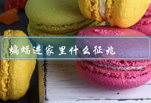 蝙蝠进家里什么征兆（出没、粪便、奇怪的声音）