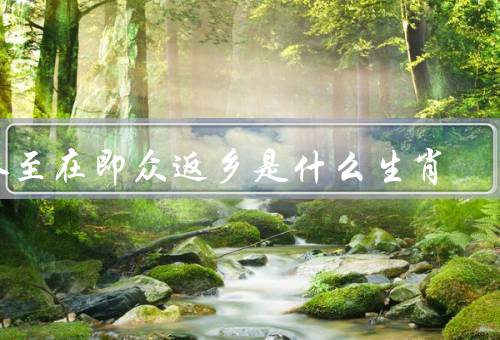 冬至在即众返乡是什么生肖（鼠年生肖／牛年生肖／虎年生肖）