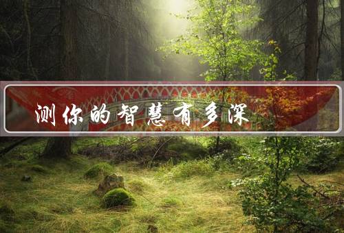 测你的智慧有多深（重要性／常见方法／提升方法）
