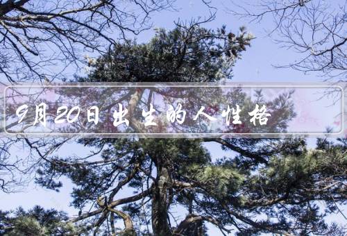 9月20日出生的人性格，内外兼修／思维敏捷／注重细节