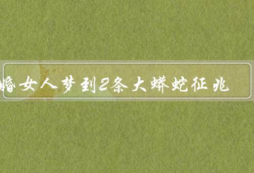 已婚女人梦到2条大蟒蛇征兆（家庭关系的变化／婚姻生活的压力）