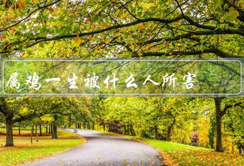 属鸡一生被什么人所害，嫉妒者、欺骗者、背叛者