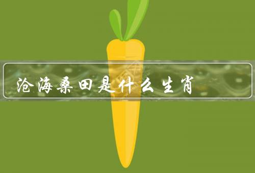 沧海桑田是什么生肖，性格特点／事业和爱情／财运和健康