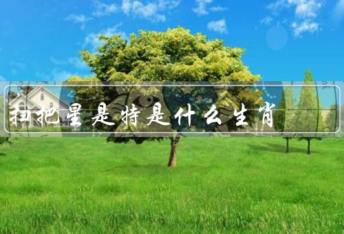 扫把星是特是什么生肖，起源／影响／应对方法