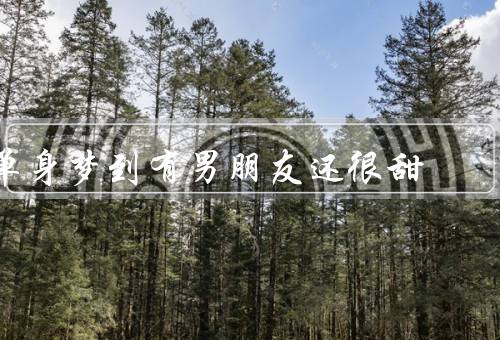 单身梦到有男朋友还很甜，温柔举止／浪漫求婚／甜蜜约会