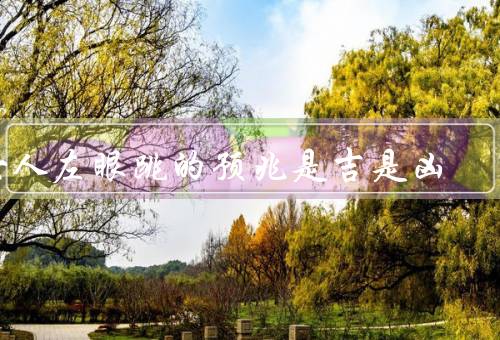 女人左眼跳的预兆是吉是凶（吉兆／凶兆／个人信仰和文化背景影响）
