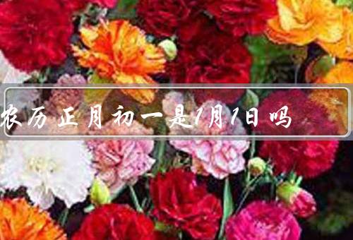 农历正月初一是1月1日吗，和阳历的差异／正月初一的计算