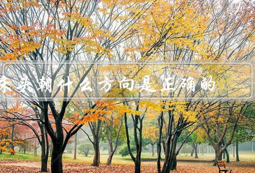 床头朝什么方向是正确的风水，北方、东方、西方