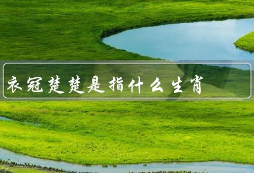 衣冠楚楚是指什么生肖，鼠／虎／猴