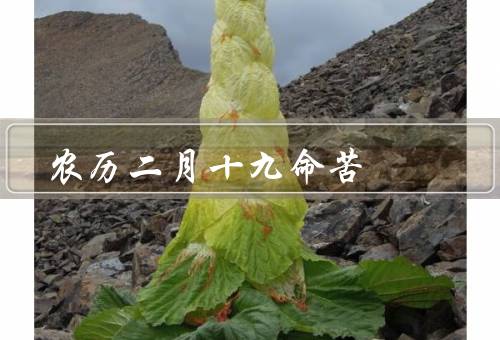 农历二月十九命苦（农历二月十九的迷信观念、理性对待迷信观念）