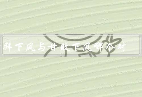 甘拜下风与甘败下风哪个对，理解／甘败下风的理解