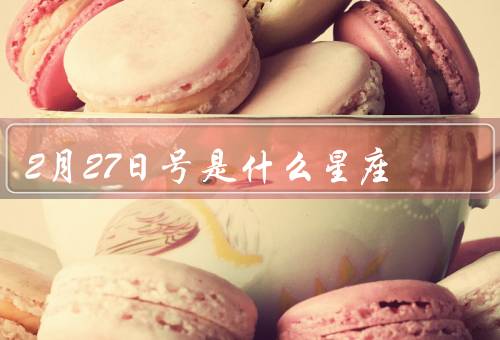 2月27日号是什么星座，特点／爱情观／职业选择
