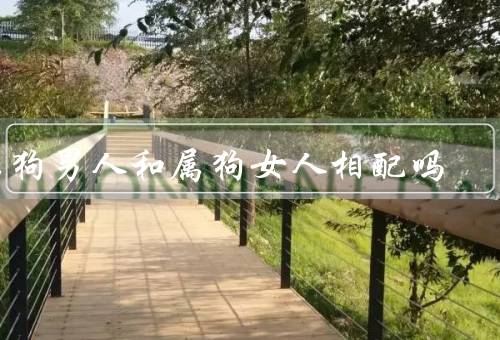 属狗男人和属狗女人相配吗（性格相投／共同兴趣爱好／相互支持）